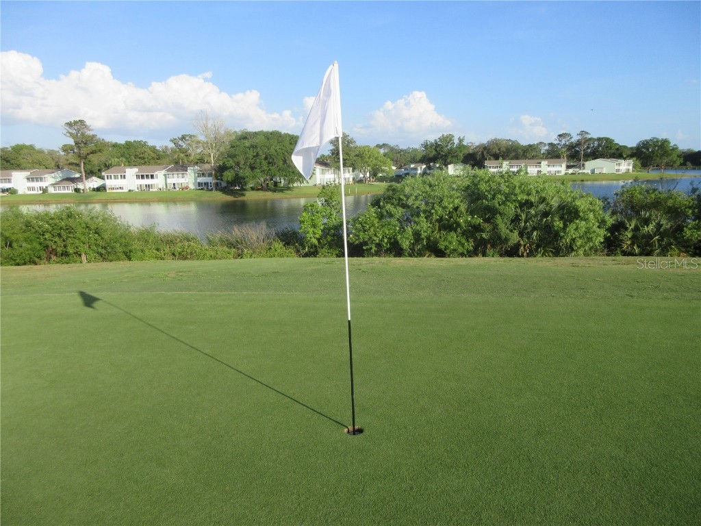 8132 Fairways Circle #R103 Ocala FL 34472 OM699048 image66