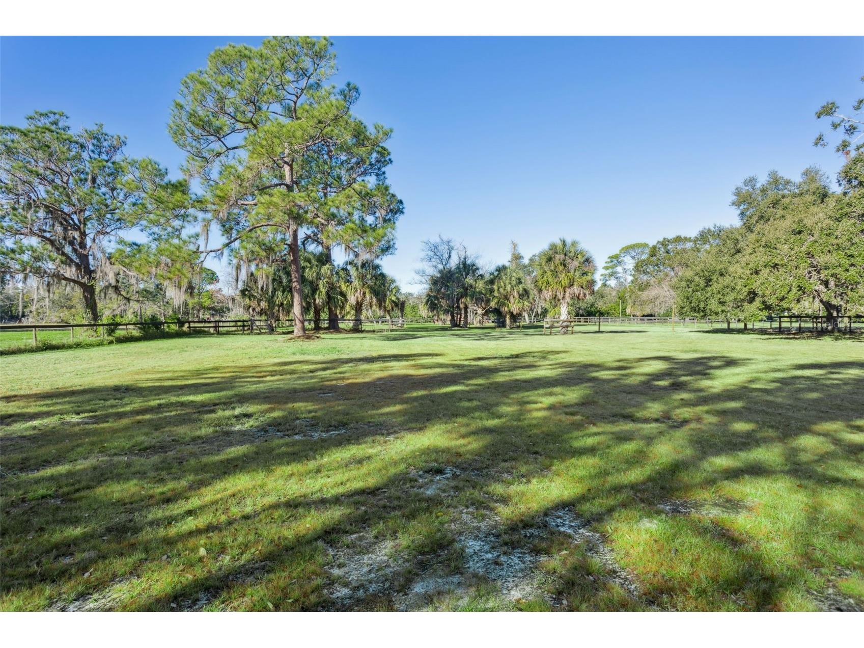 8132 Honeybee Lane Tampa FL 33635 TB8458452 image18