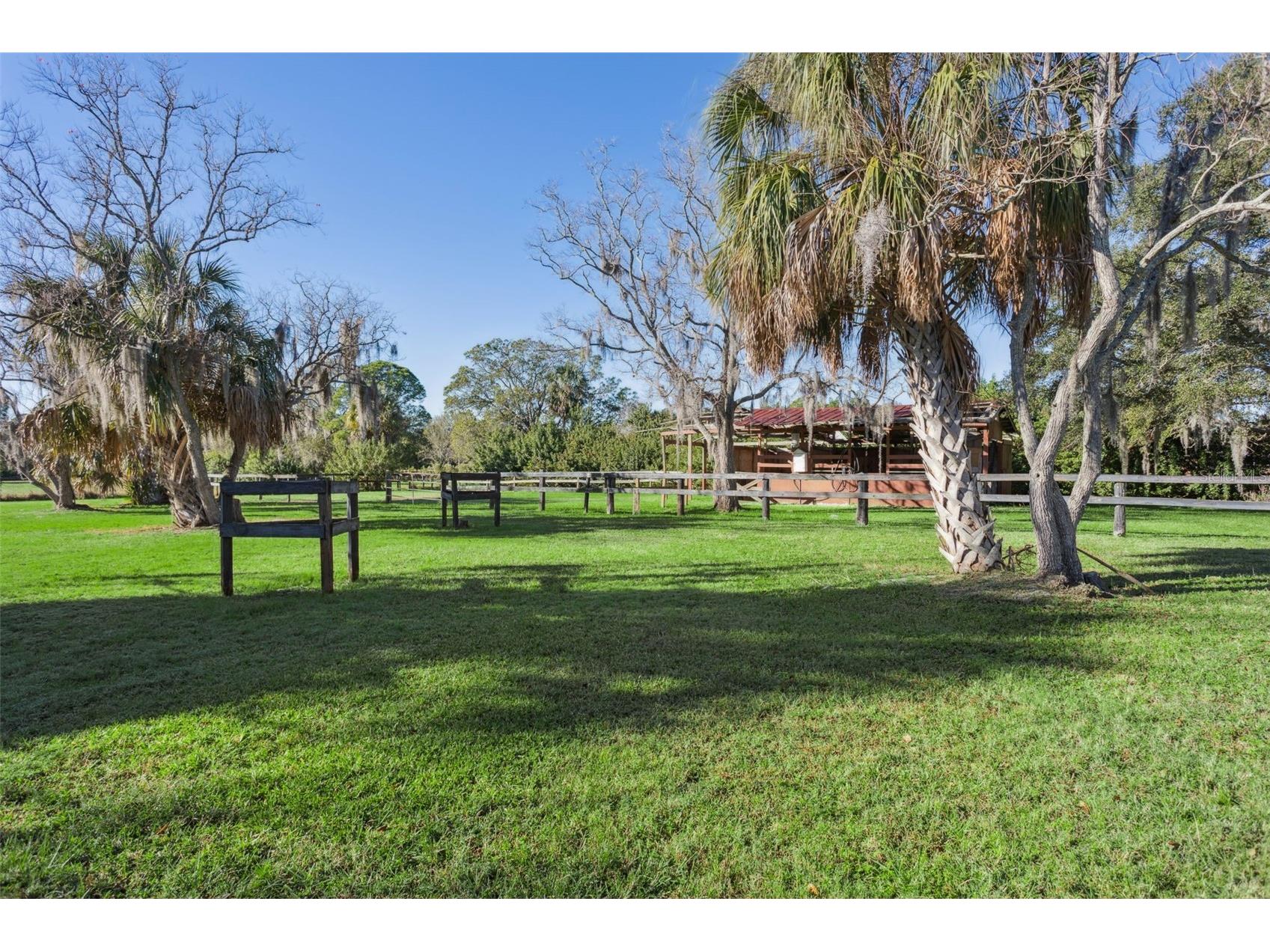 8132 Honeybee Lane Tampa FL 33635 TB8458452 image20