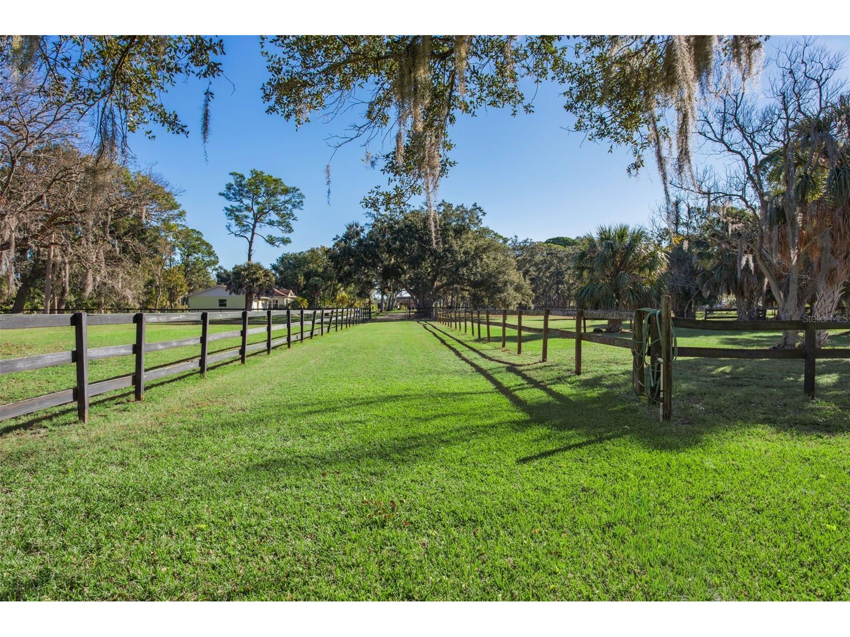 8132 Honeybee Lane Tampa FL 33635 TB8458452 image23