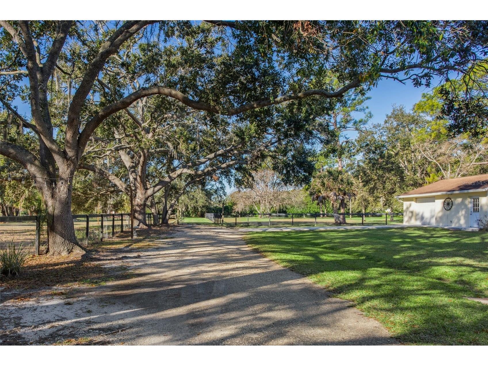 8132 Honeybee Lane Tampa FL 33635 TB8458481 image13