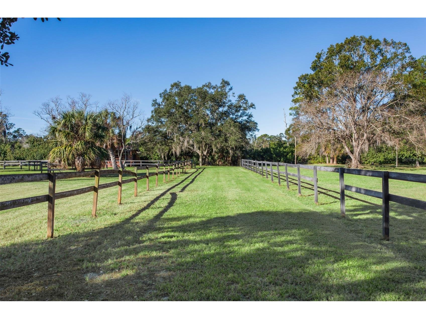 8132 Honeybee Lane Tampa FL 33635 TB8458481 image14