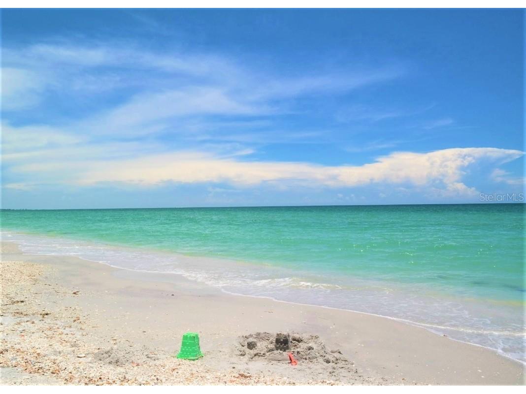 8132 Little Gasparilla Island Placida FL 33946 D6143500 image15