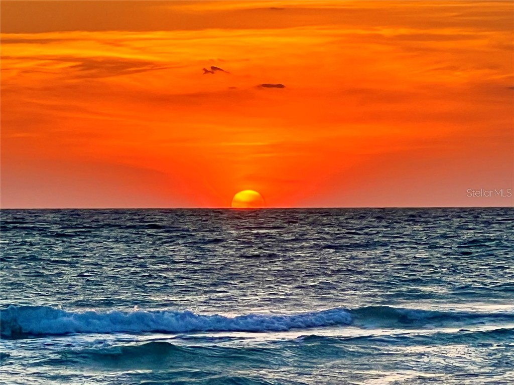 8132 Little Gasparilla Island Placida FL 33946 D6143500 image16