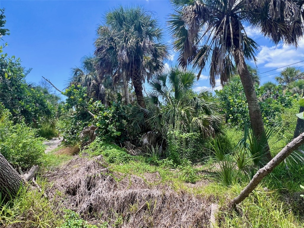 8132 Little Gasparilla Island Placida FL 33946 D6143500 image3