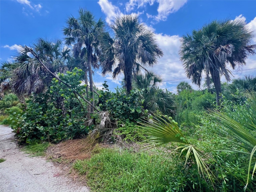 8132 Little Gasparilla Island Placida FL 33946 D6143500 image4