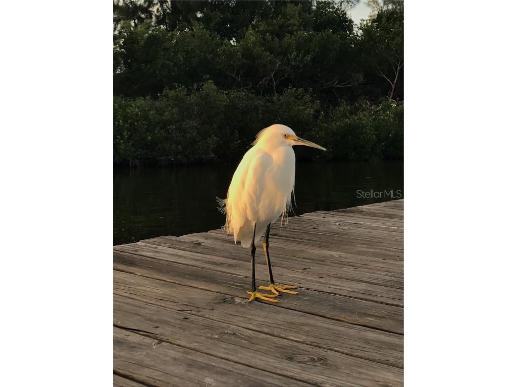 8132 Little Gasparilla Island Placida FL 33946 D6143500 image7