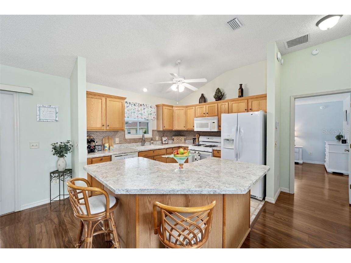 8132 SE 171st Mcalpin Street The Villages FL 32162 G5084109 image17