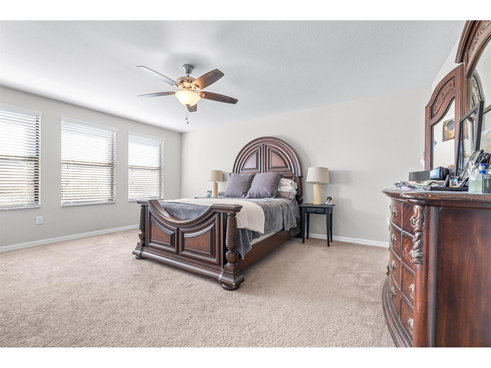 8132 Seagarden Lane Land O Lakes FL 34637 TB8467844 image23