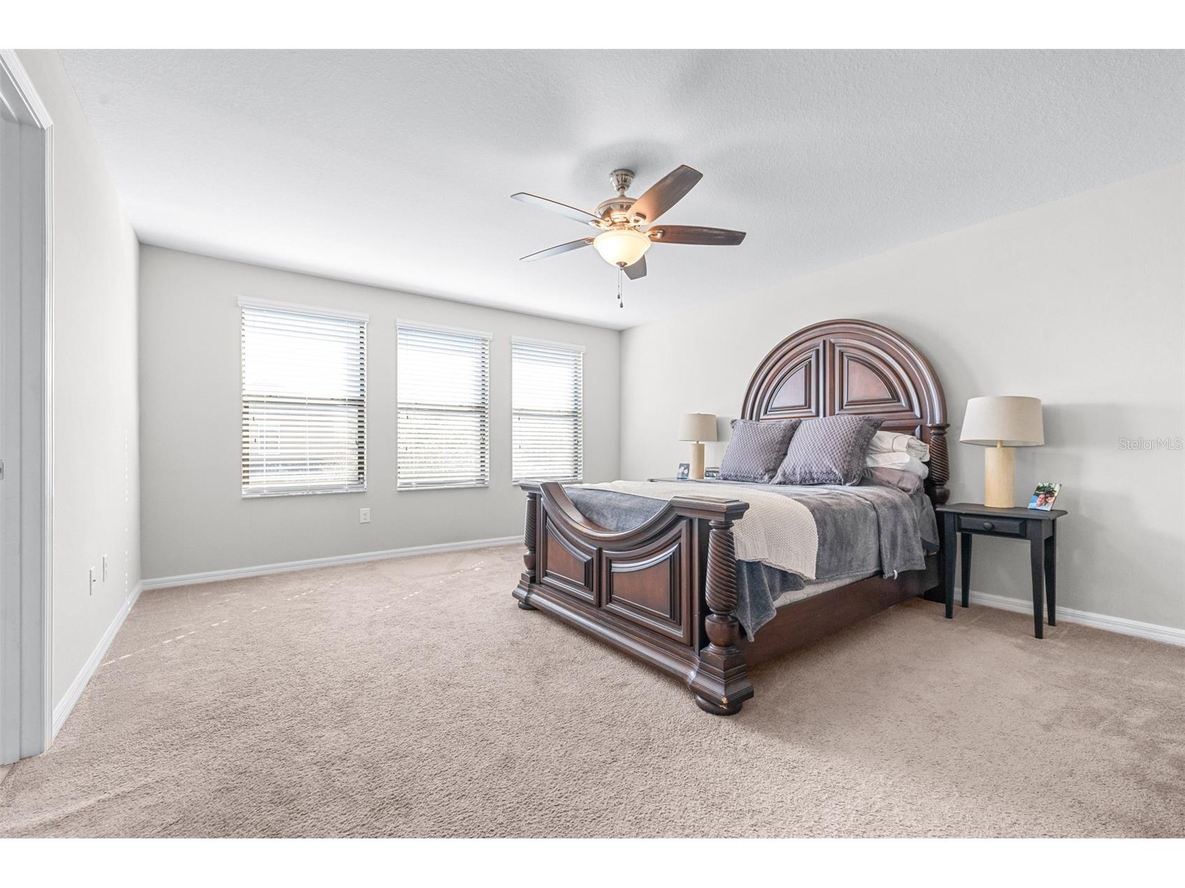 8132 Seagarden Lane Land O Lakes FL 34637 TB8467844 image25