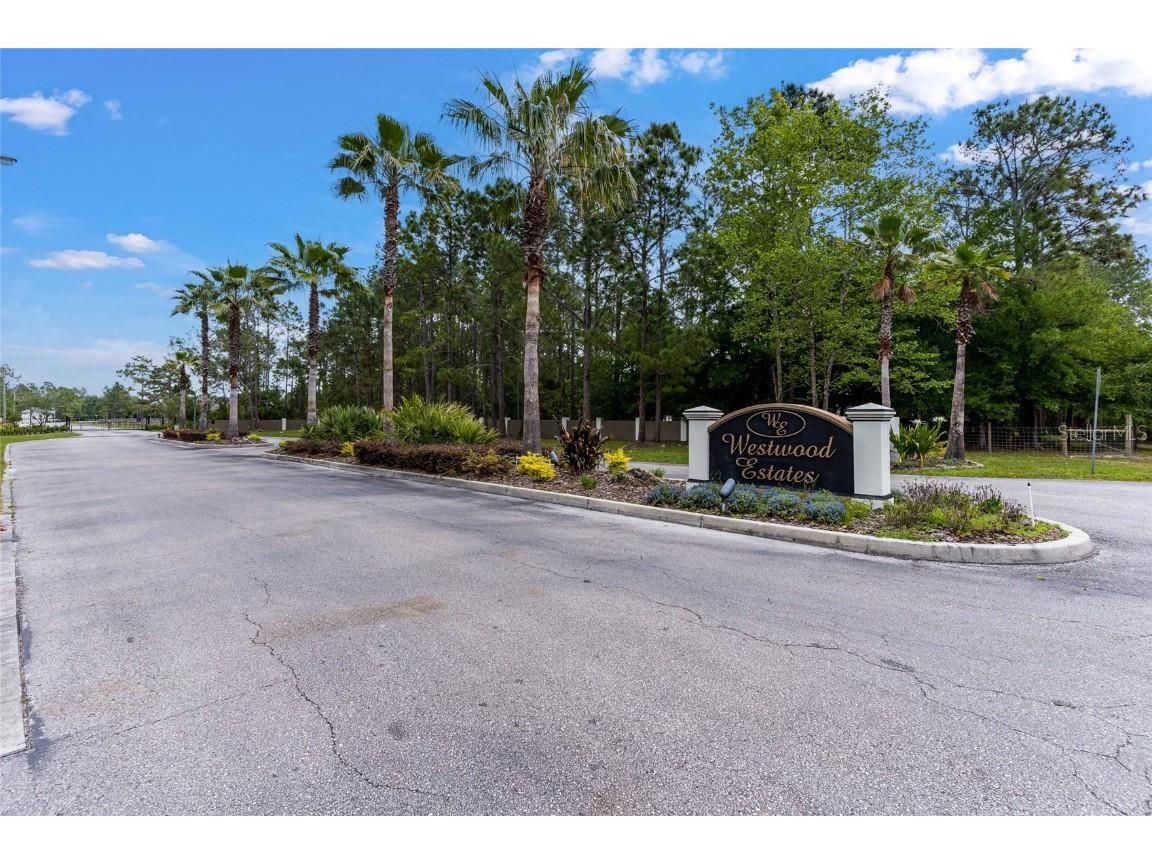 8134 Spring Forest Lane Wesley Chapel FL 33544 T3433841 image1