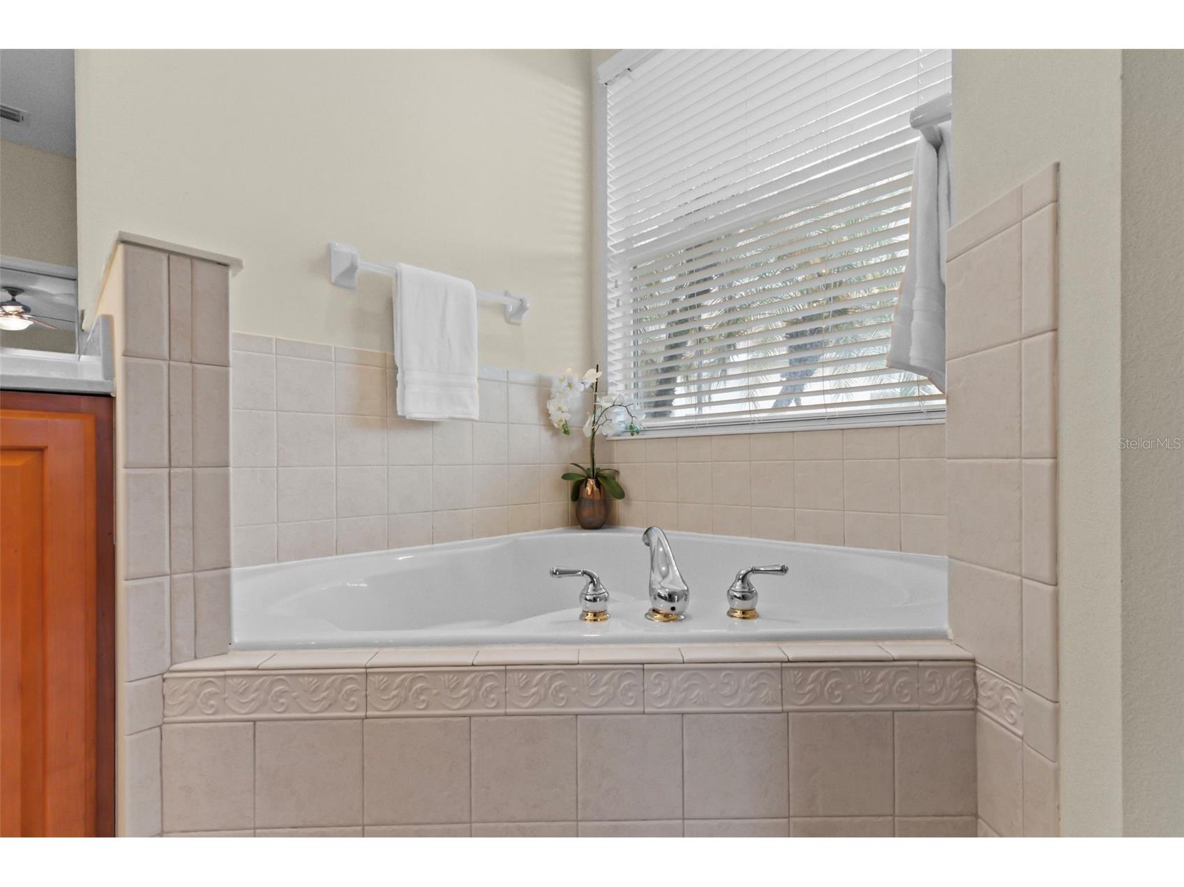 8135 Indigo Ridge Terrace Bradenton FL 34201 TB8506135 image32