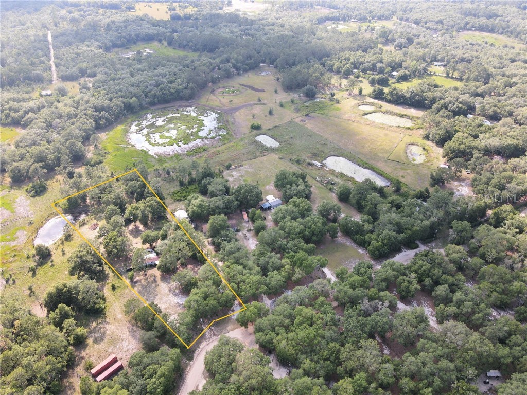 8136 Blazing Star Road Melrose FL 32666 GC513511 image1
