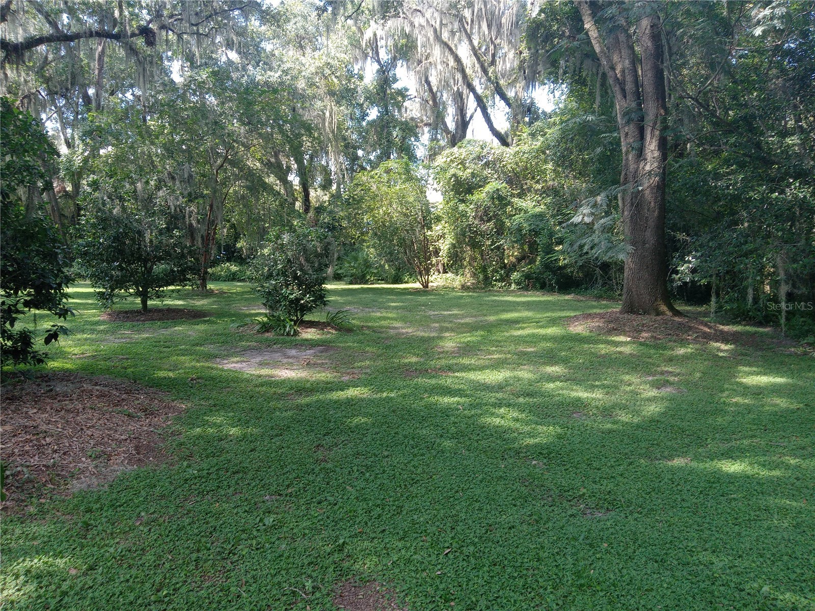 8136 NW 5th Court Gainesville FL 32607 R4911452 image27
