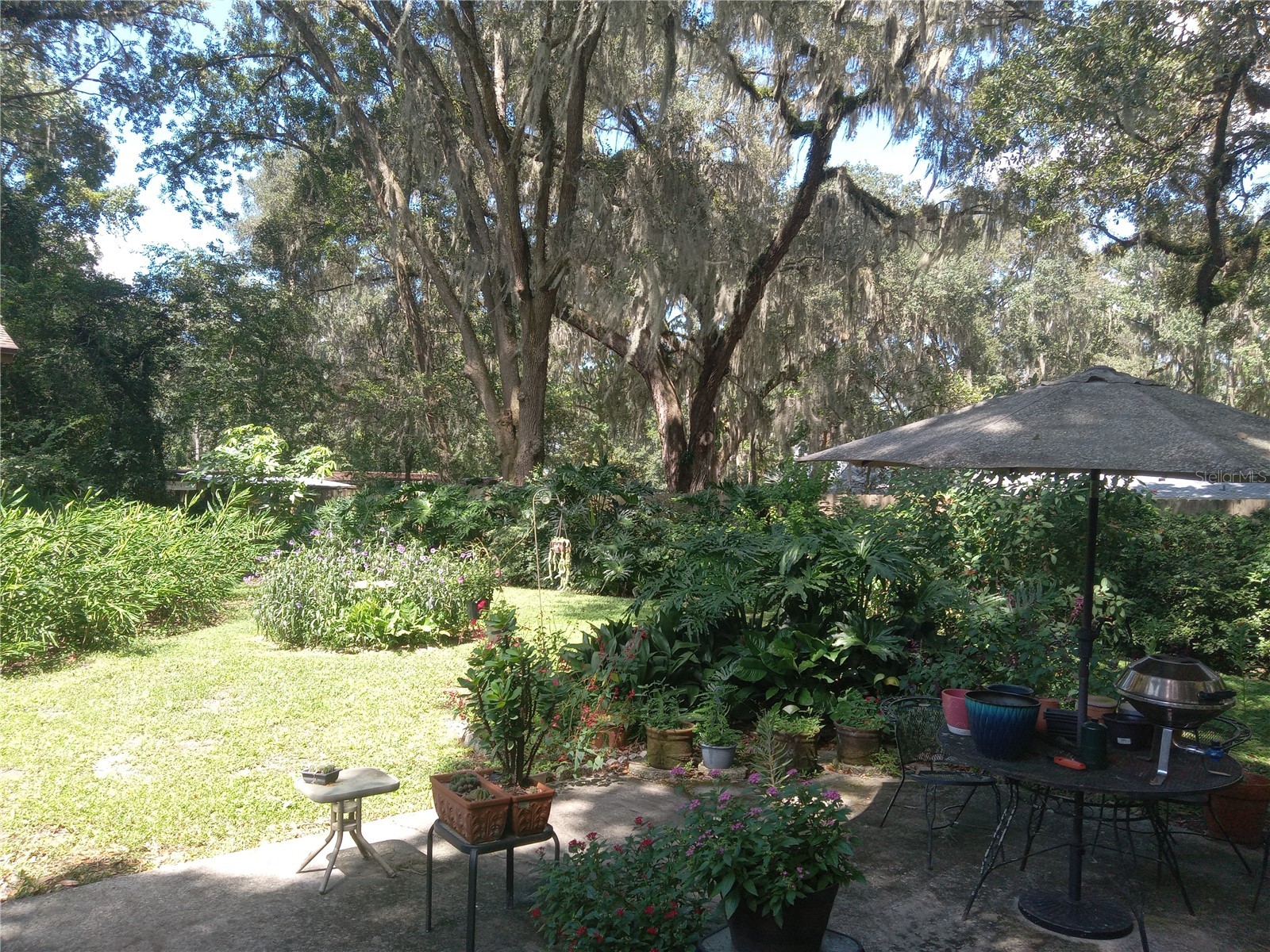 8136 NW 5th Court Gainesville FL 32607 R4911452 image30