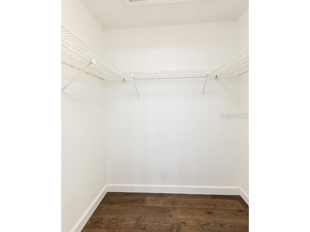 8137 Citrus Chase Drive Orlando FL 32836 O6337458 image18