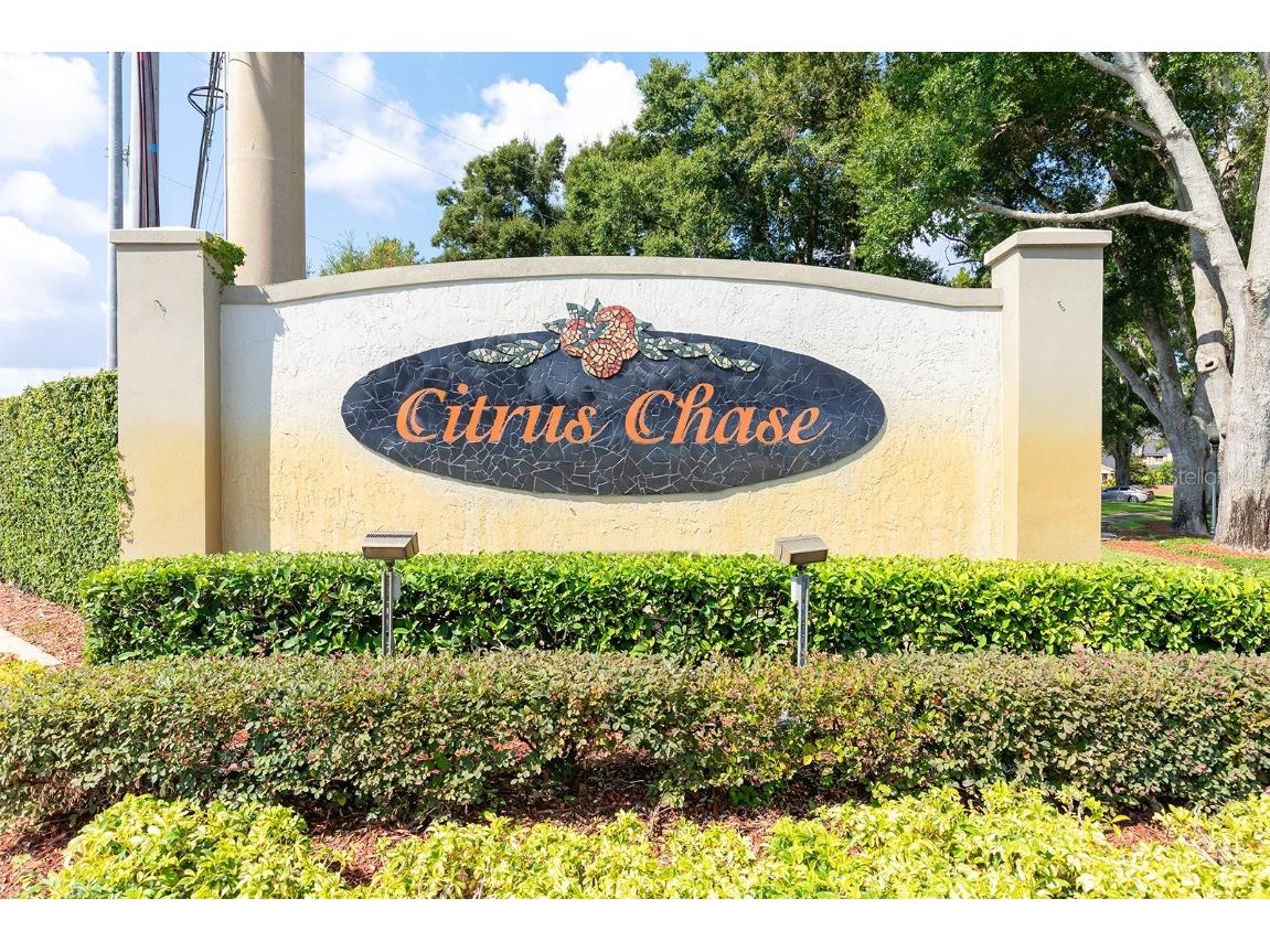 8137 Citrus Chase Drive Orlando FL 32836 O6337458 image33