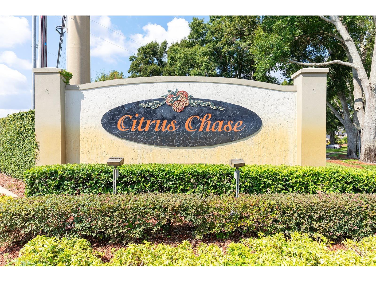 8137 Citrus Chase Drive Orlando FL 32836 O6337458 image34