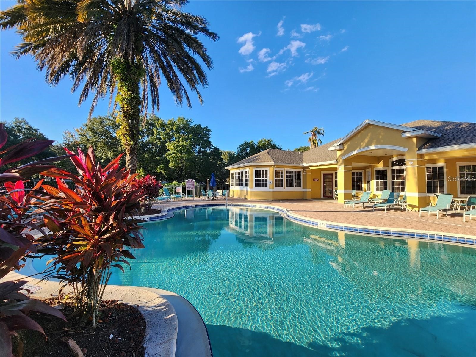 8137 Claire Ann Drive #203 Orlando FL 32825 S5154253 image5