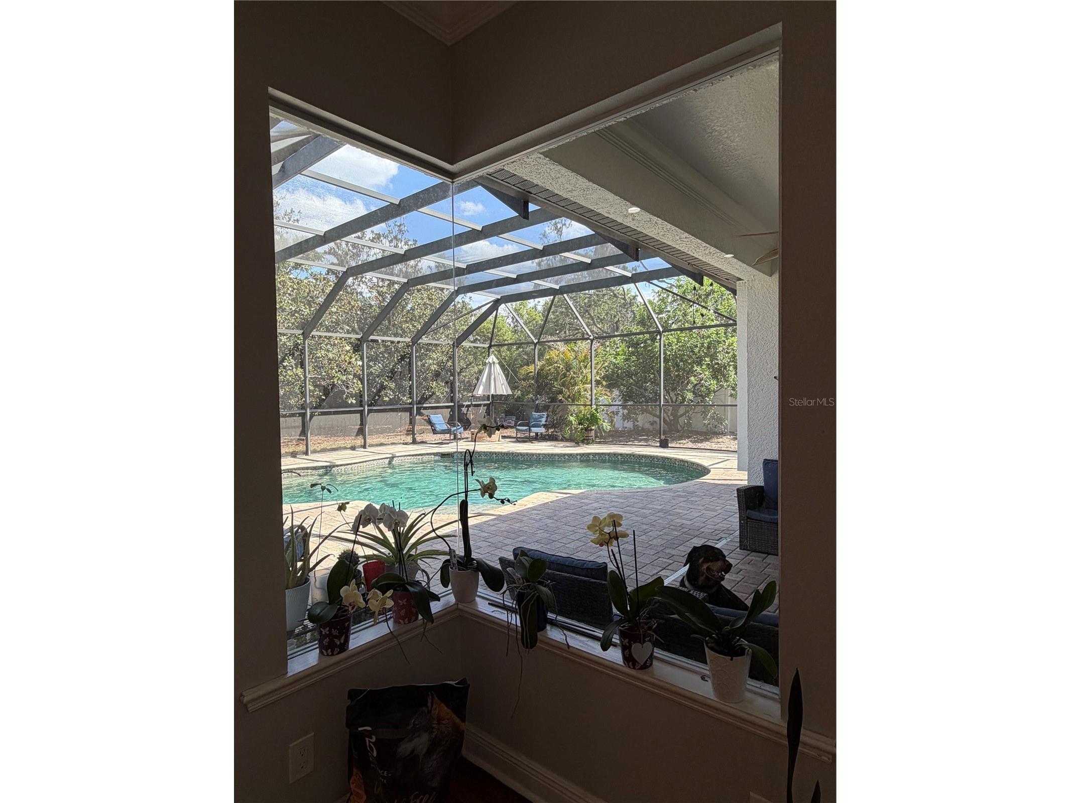 8137 Golden Bear Loop Port Richey FL 34668 TB8505631 image13