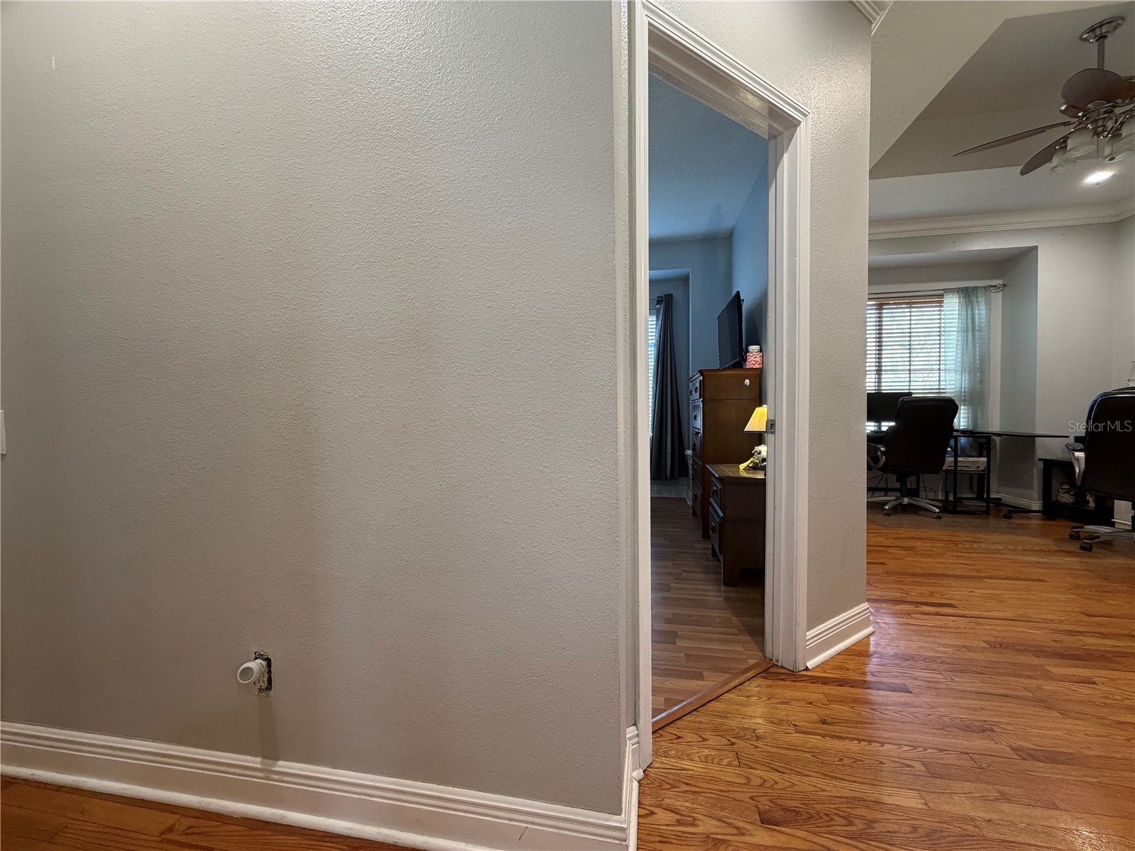 8137 Golden Bear Loop Port Richey FL 34668 TB8505631 image33
