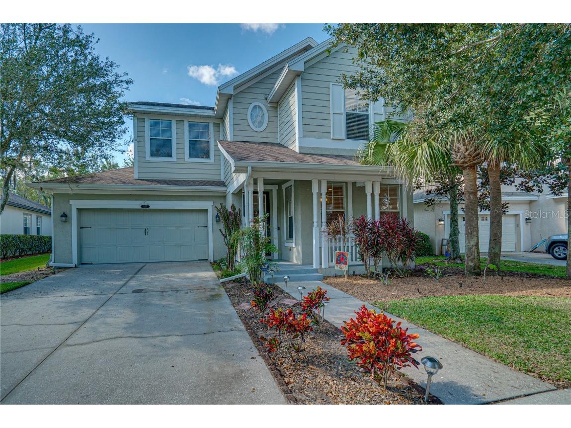 8137 Lagerfeld Drive Land O Lakes FL 34637 T3345883 image1
