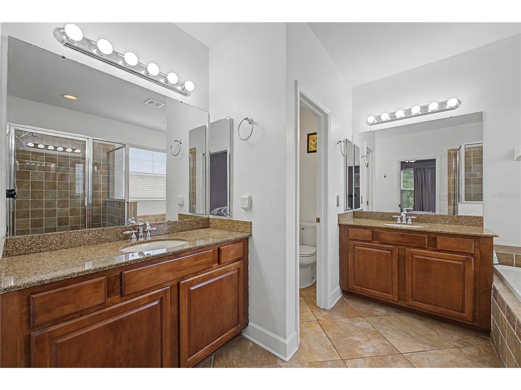 8137 Lagerfeld Drive Land O Lakes FL 34637 TB8520645 image25