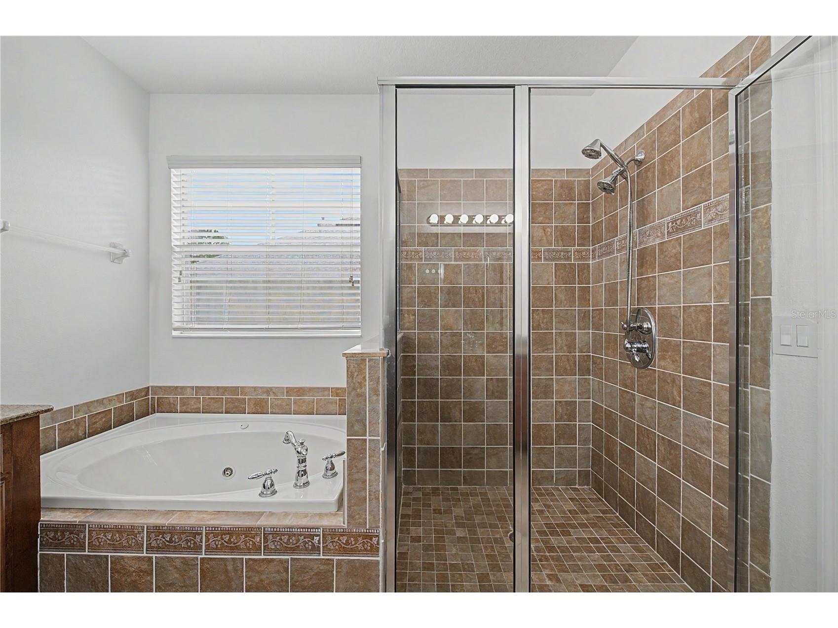 8137 Lagerfeld Drive Land O Lakes FL 34637 TB8520645 image27