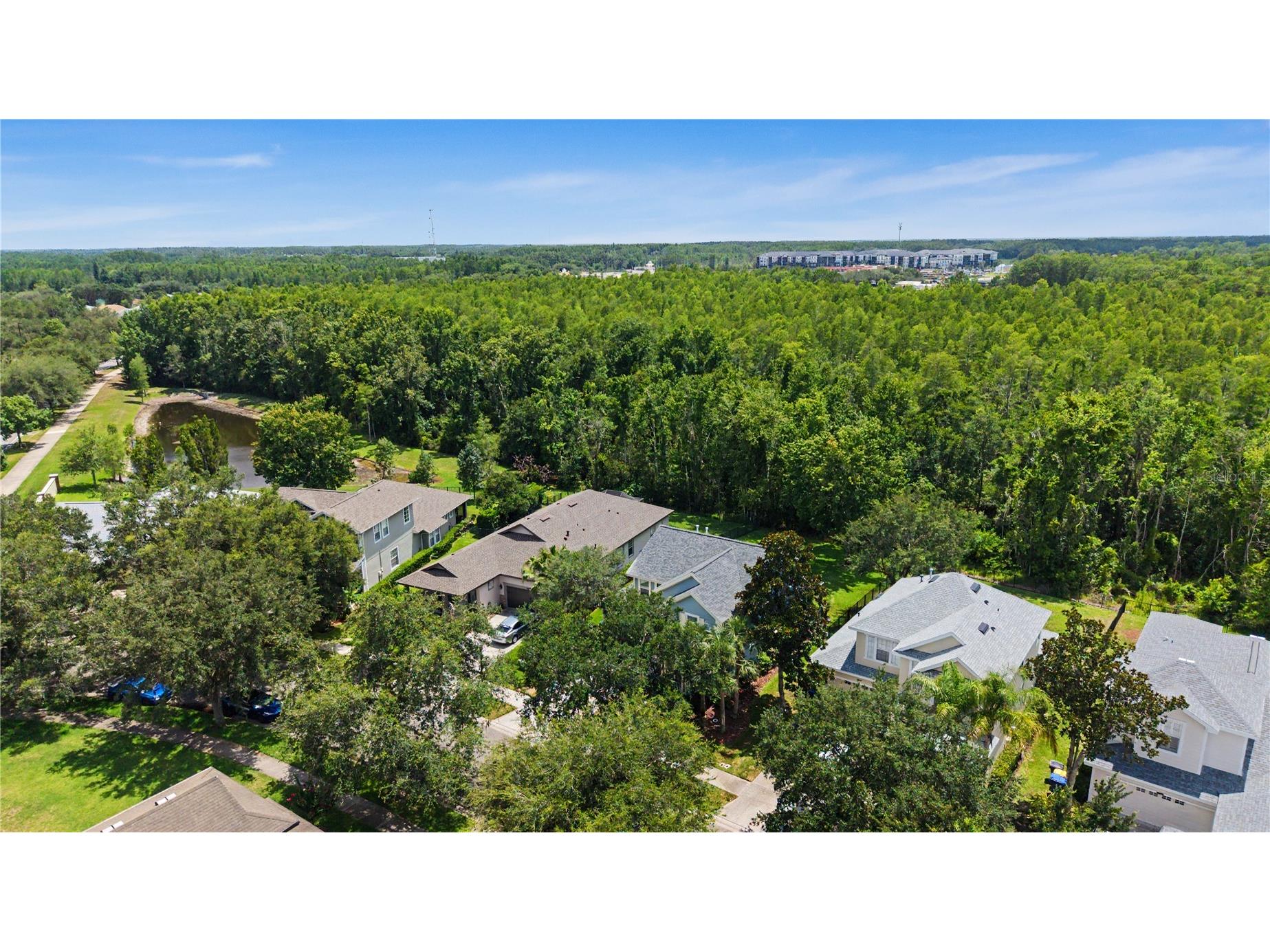8137 Lagerfeld Drive Land O Lakes FL 34637 TB8520645 image36