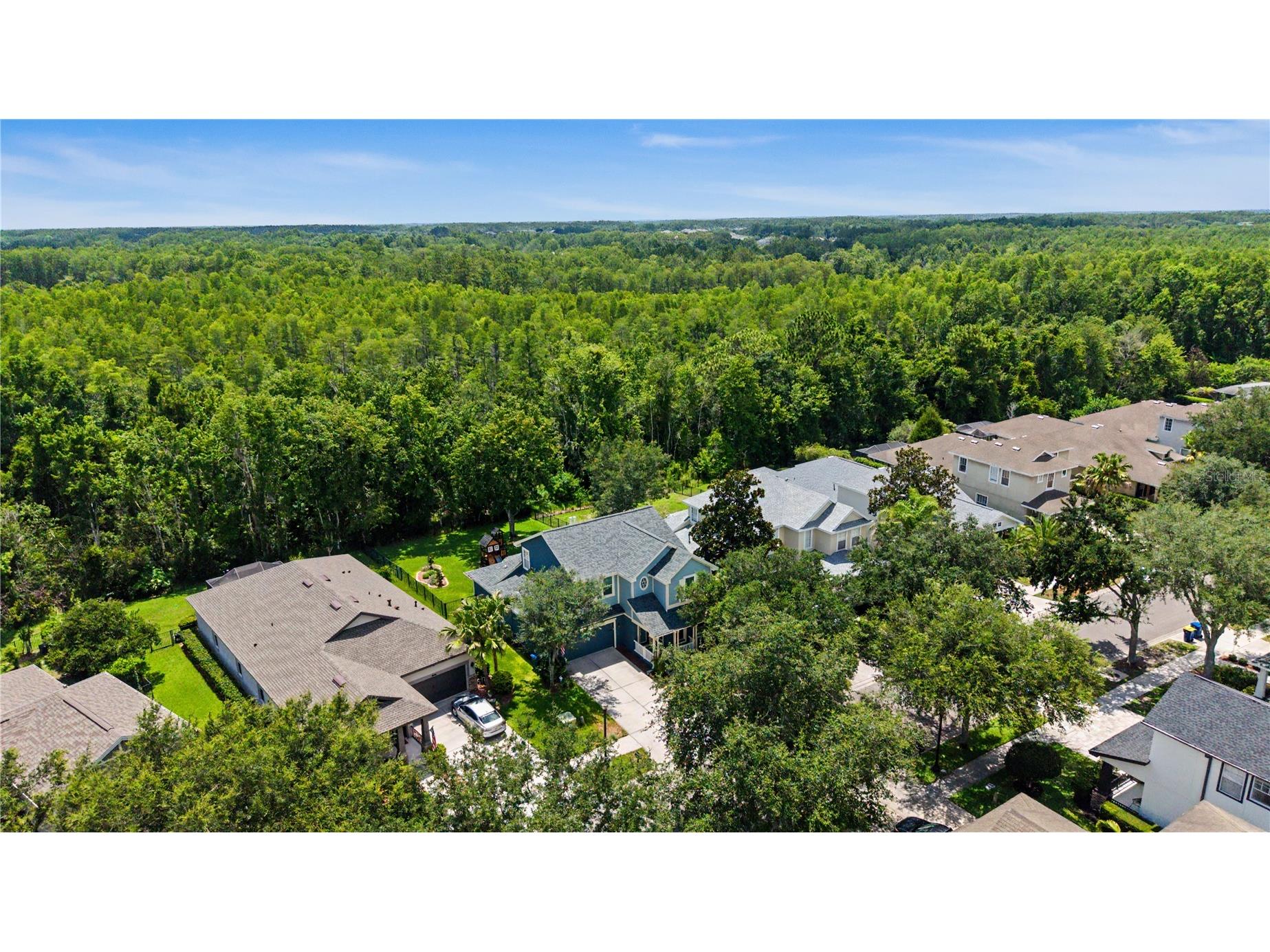 8137 Lagerfeld Drive Land O Lakes FL 34637 TB8520645 image37