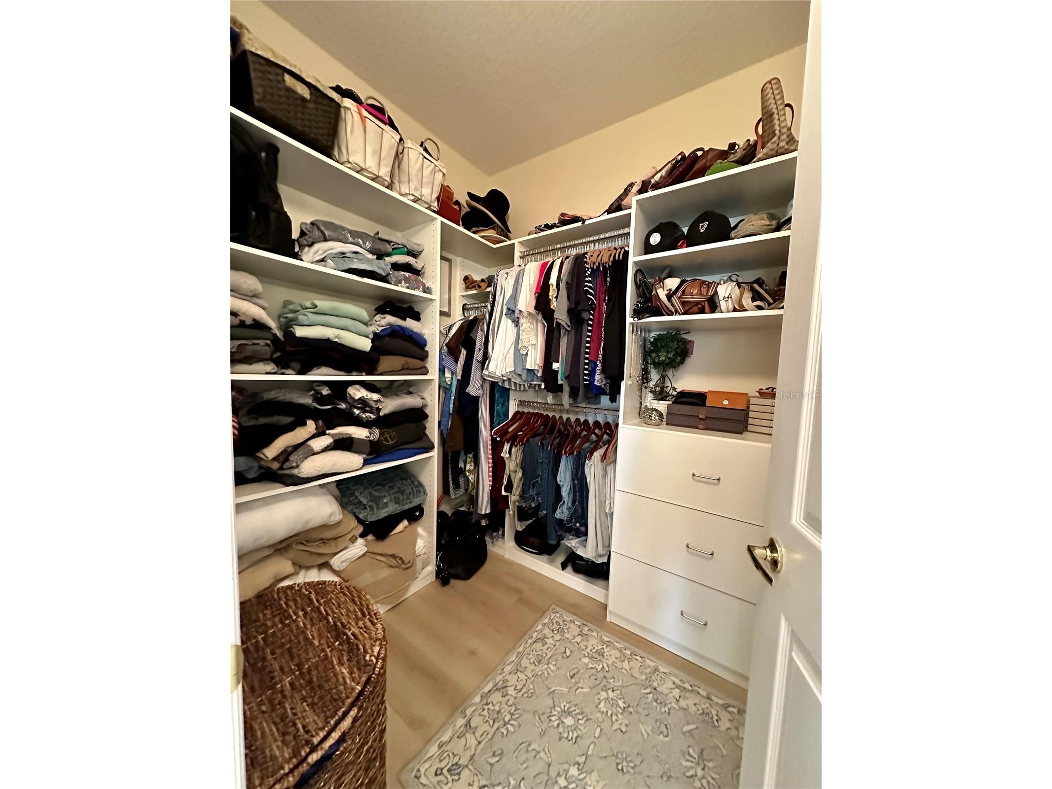 8137 Ponkan Road Land O Lakes FL 34637 TB8483656 image23