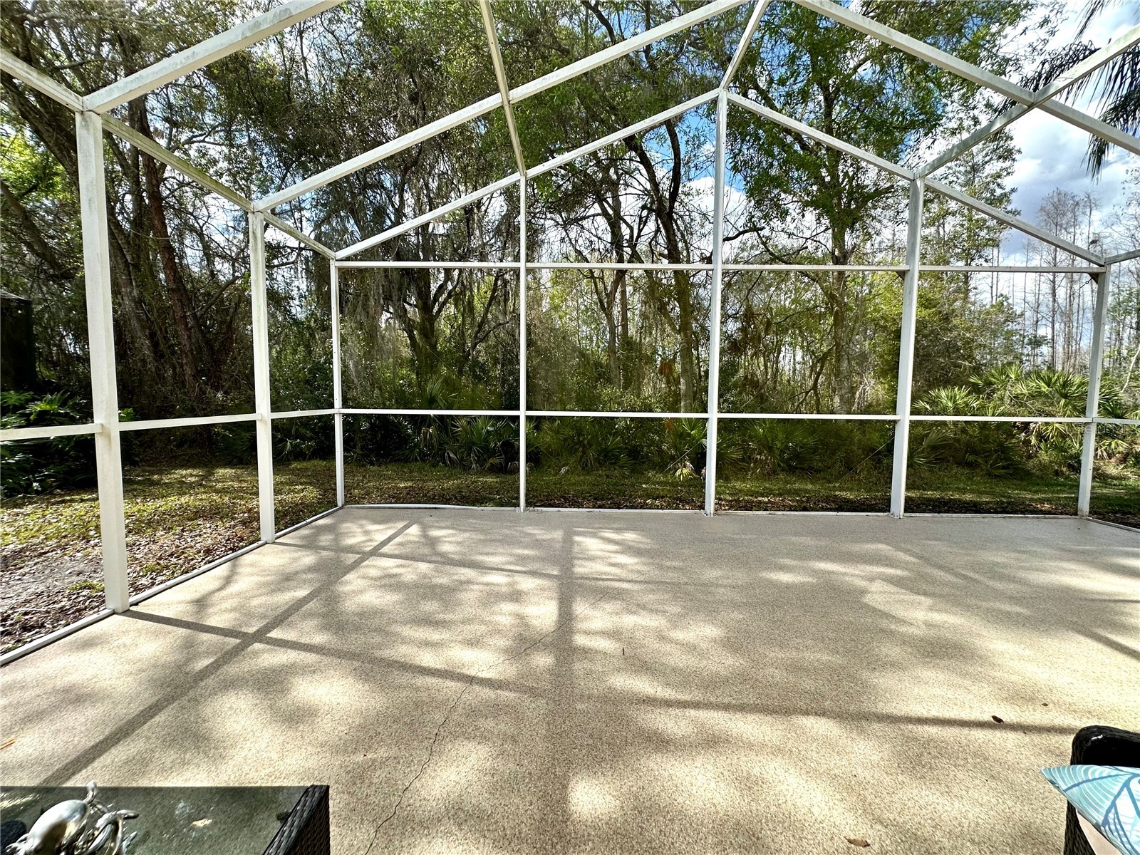 8137 Ponkan Road Land O Lakes FL 34637 TB8483656 image35