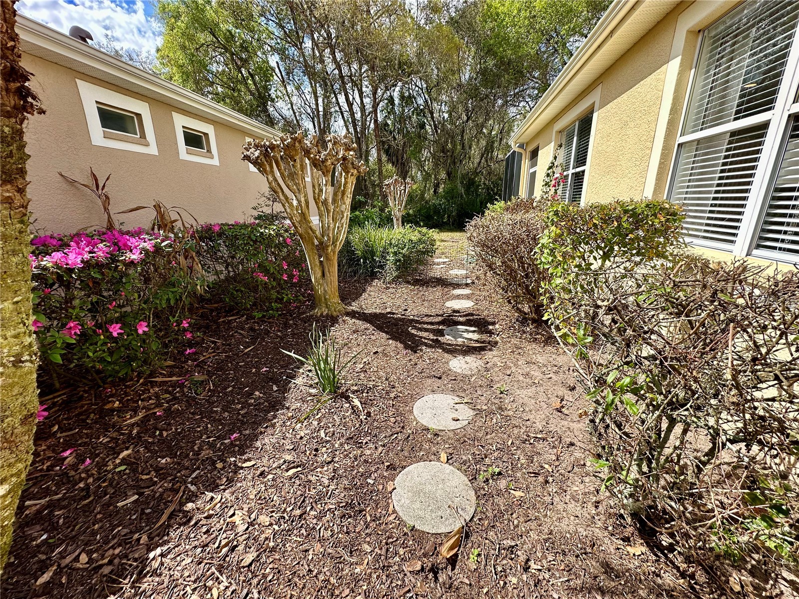 8137 Ponkan Road Land O Lakes FL 34637 TB8483656 image38