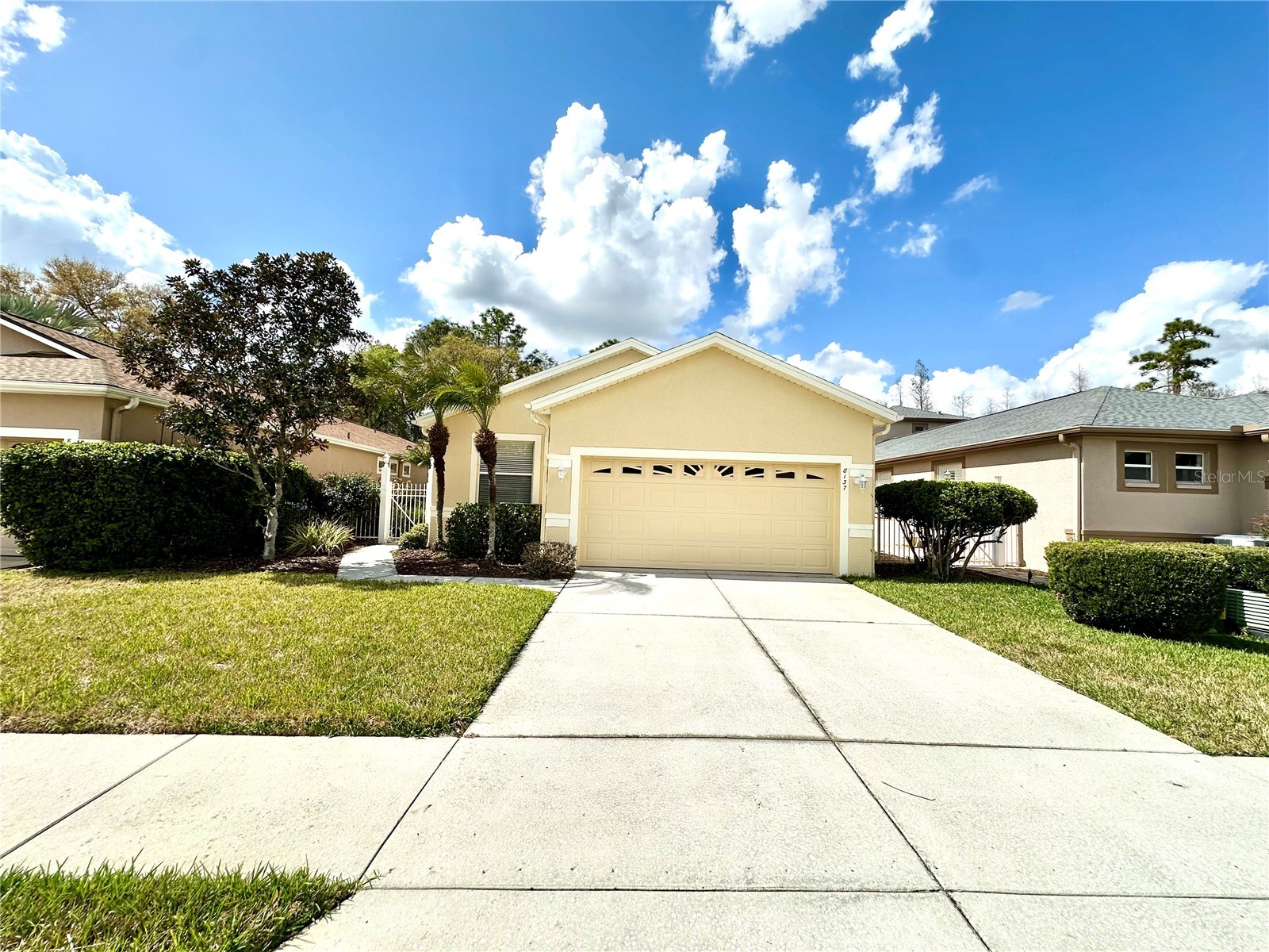 8137 Ponkan Road Land O Lakes FL 34637 TB8483656 image40