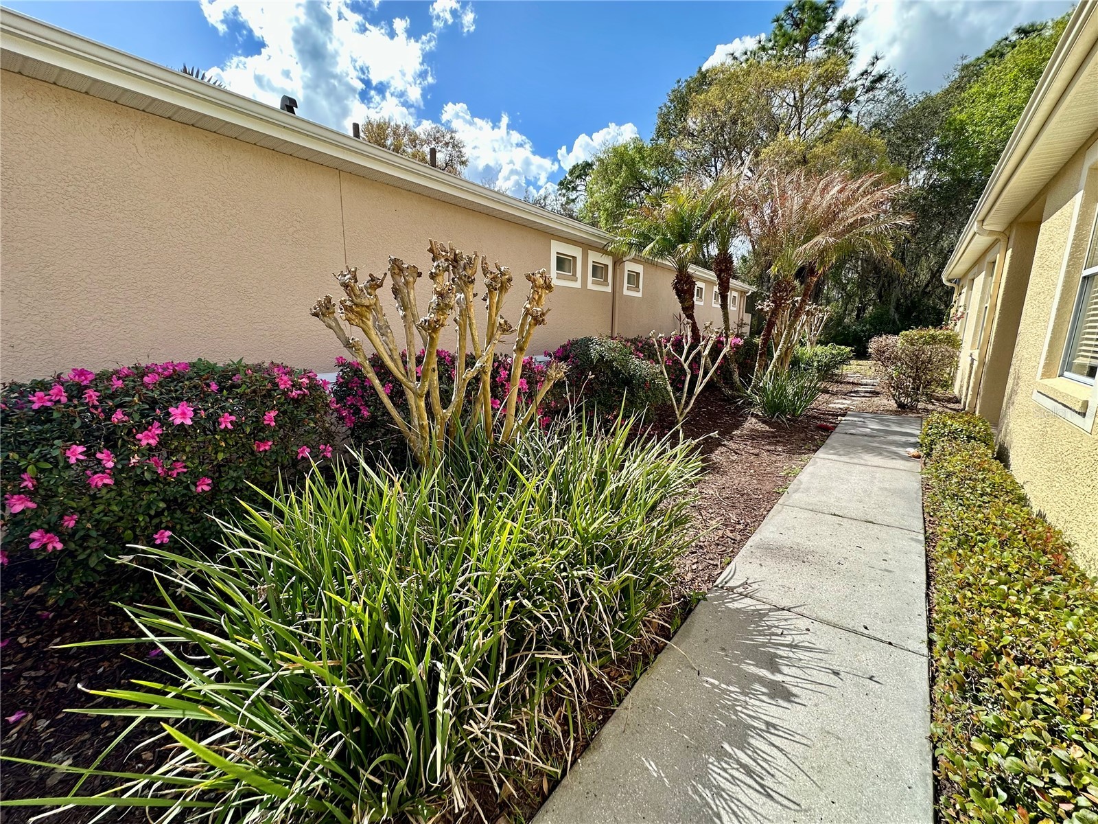 8137 Ponkan Road Land O Lakes FL 34637 TB8483656 image41