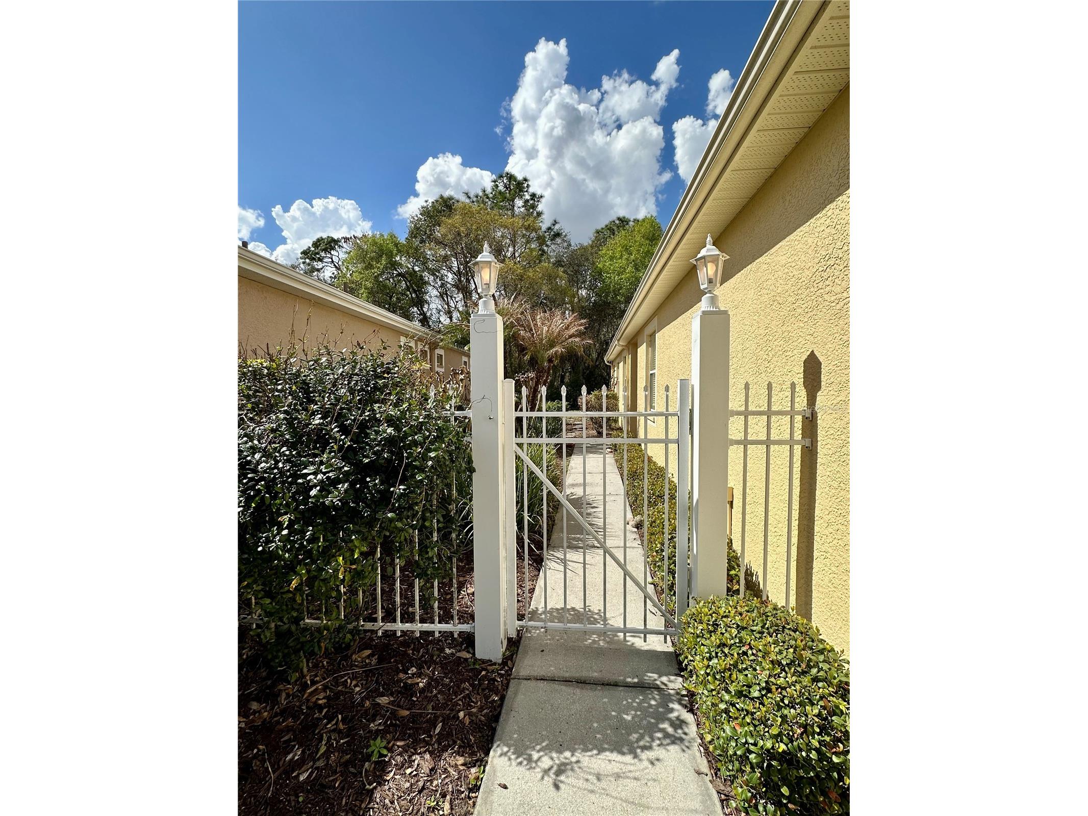 8137 Ponkan Road Land O Lakes FL 34637 TB8483656 image42