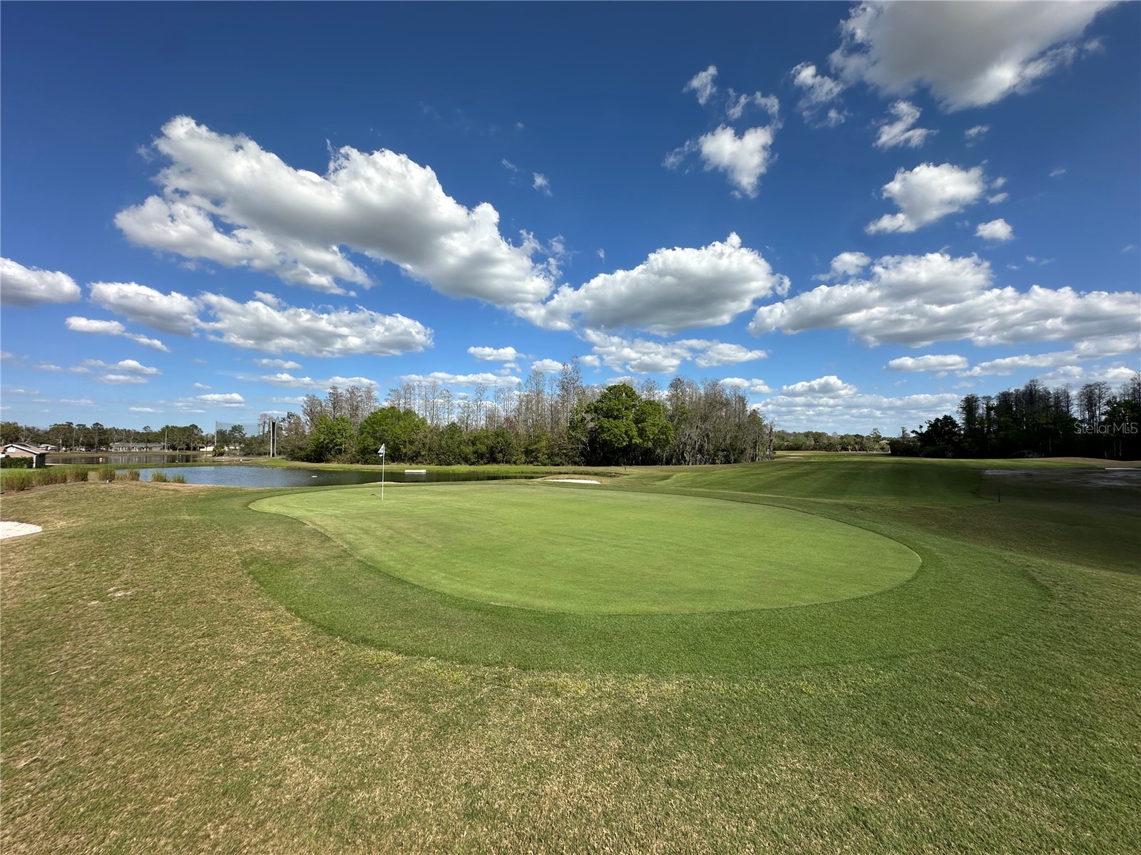 8137 Ponkan Road Land O Lakes FL 34637 TB8483656 image43
