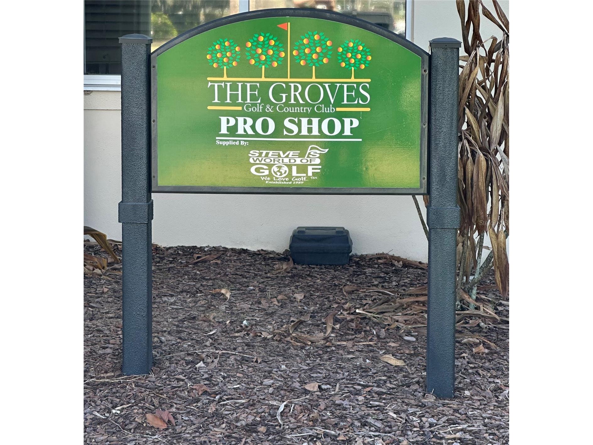 8137 Ponkan Road Land O Lakes FL 34637 TB8483656 image45