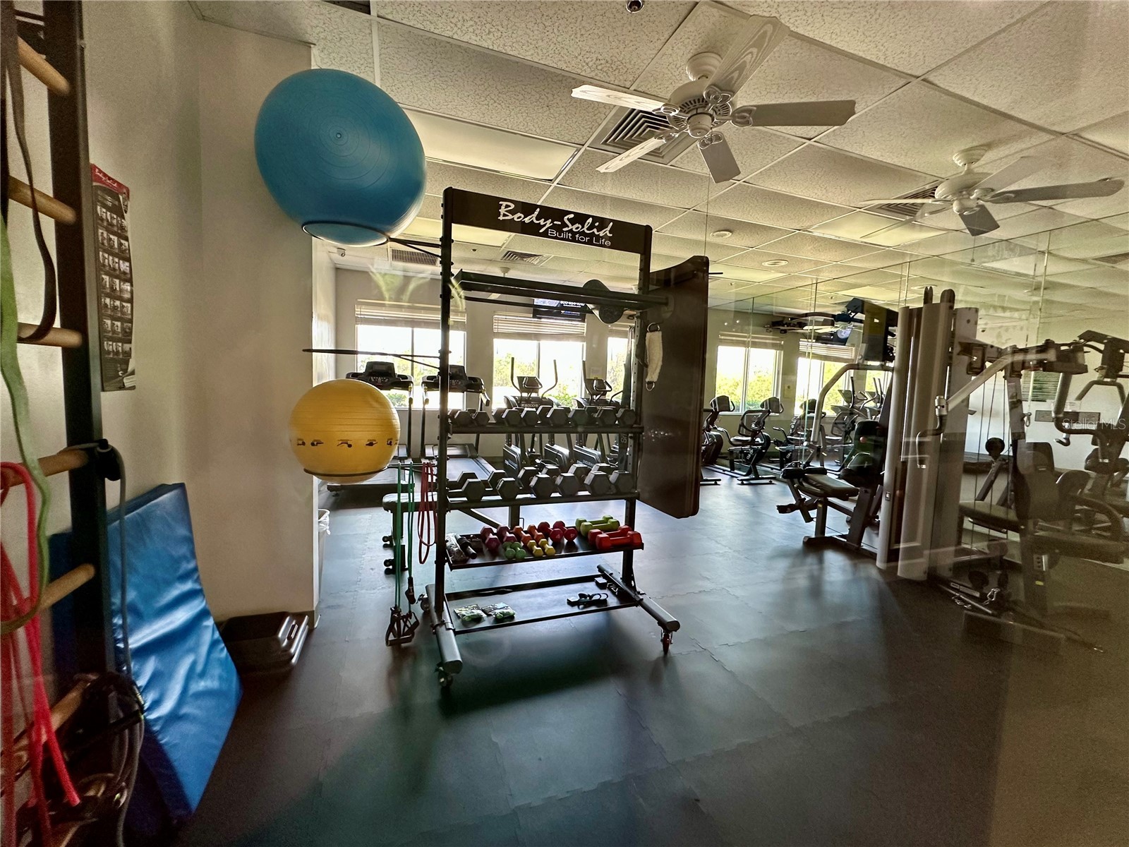 8137 Ponkan Road Land O Lakes FL 34637 TB8483656 image49