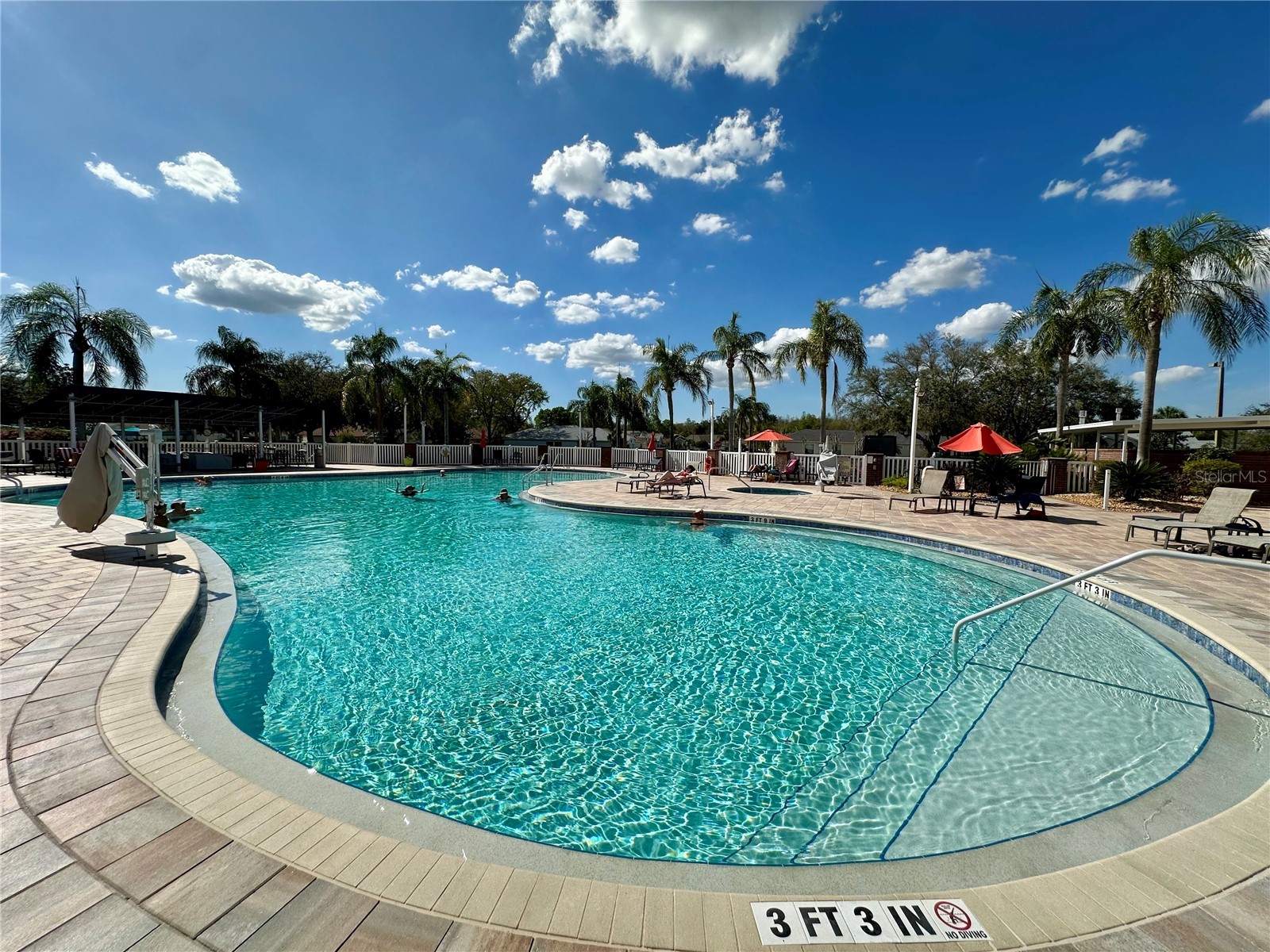 8137 Ponkan Road Land O Lakes FL 34637 TB8483656 image52