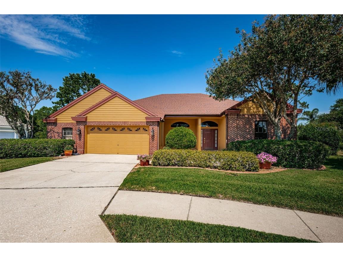 8137 Silver Mist Place Trinity FL 34655 W7865013 image1