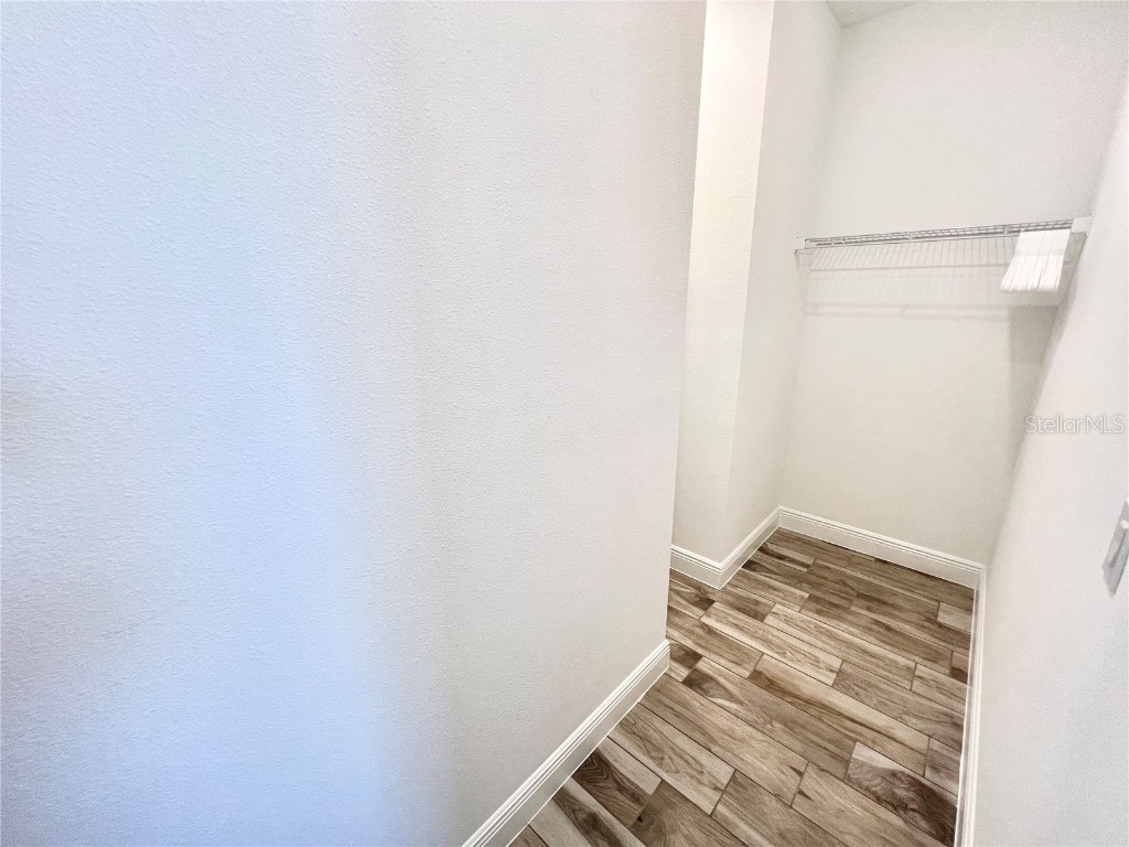 8139 Coconut Place Kissimmee FL 34747 O6350987 image47