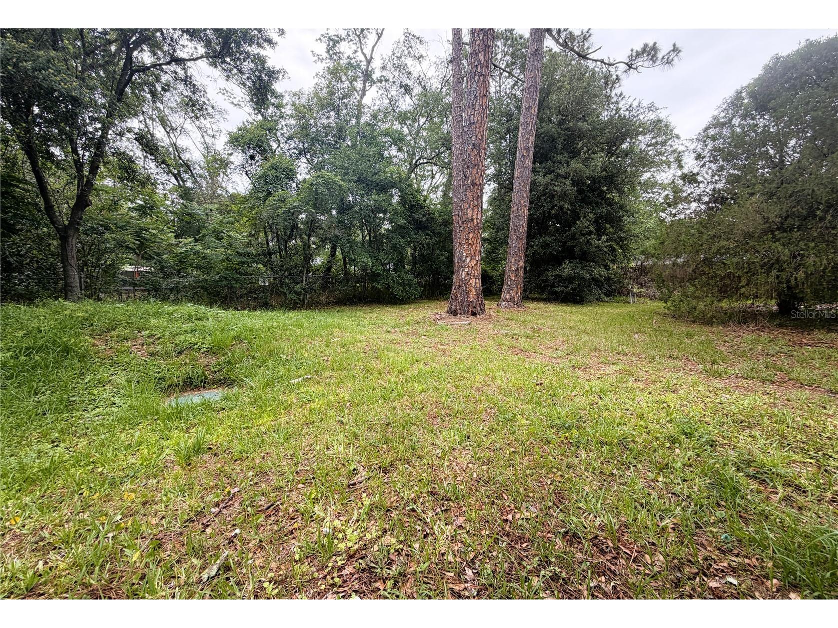 8139 Vining Street Jacksonville FL 32210 GC540216 image45