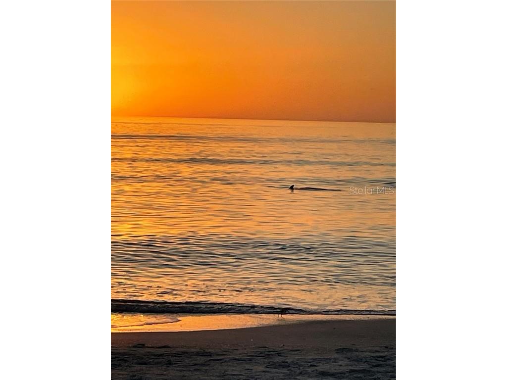 814 Bayport Way Longboat Key FL 34228 - GULF OF MEXICO & SARASOTA BAY A4669554 image39