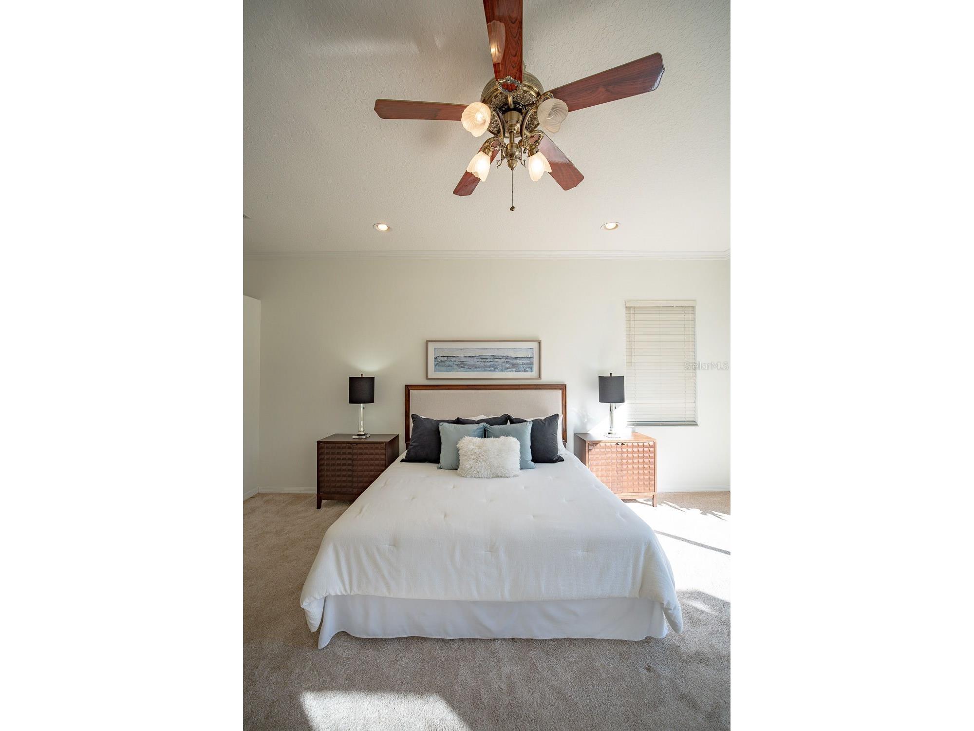 814 Brantenburg Way Lutz FL 33548 TB8480308 image19