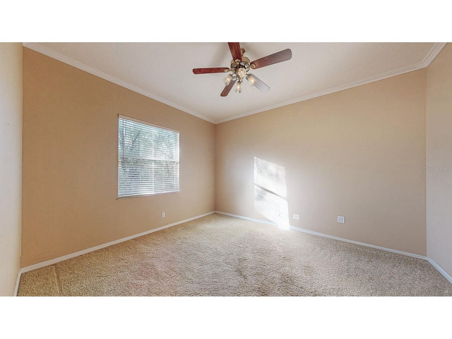 814 Brantenburg Way Lutz FL 33548 TB8480308 image23