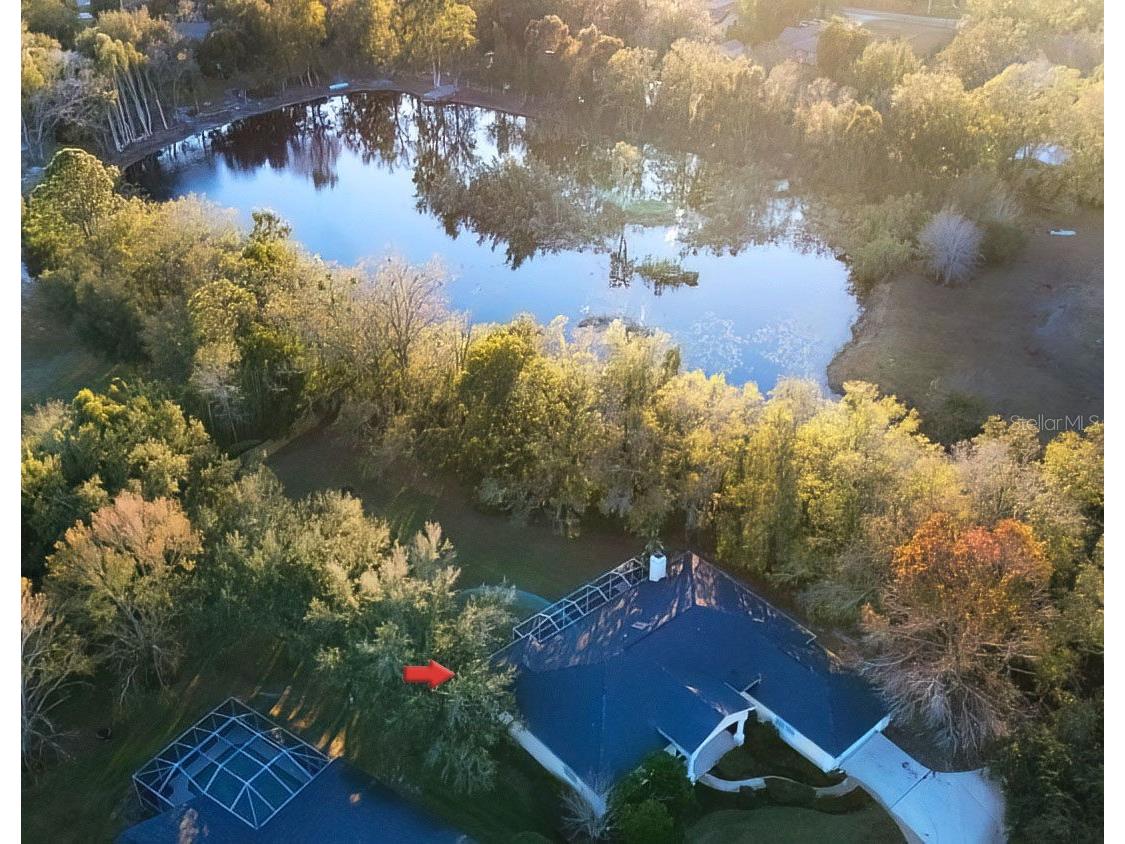 814 Brantenburg Way Lutz FL 33548 TB8480308 image3