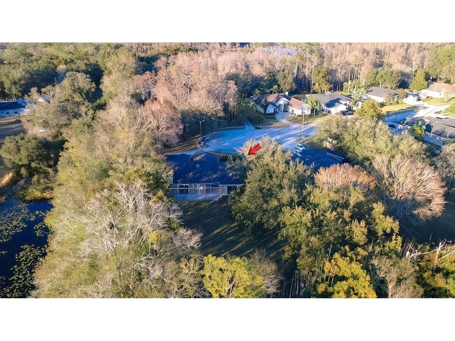 814 Brantenburg Way Lutz FL 33548 TB8480308 image32
