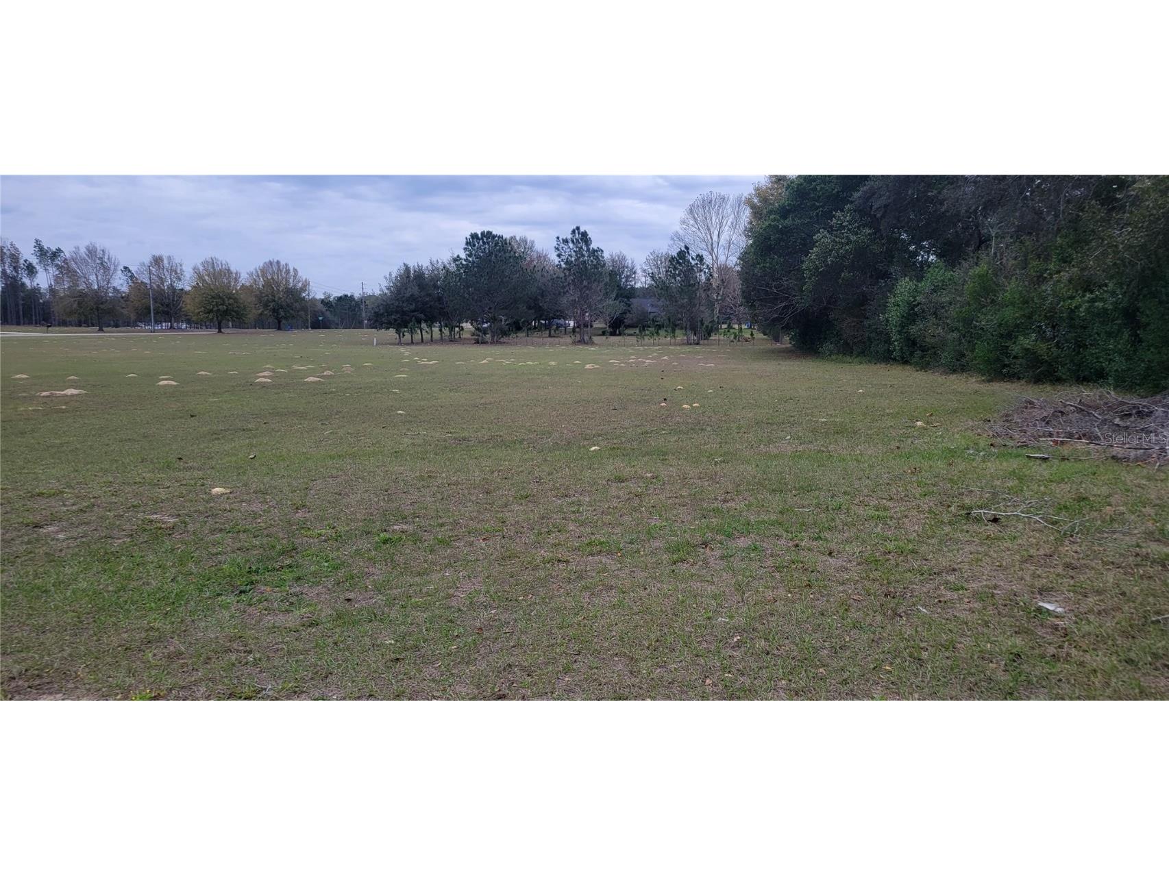 814 E Bismark Street Hernando FL 34442 S5099766 image1