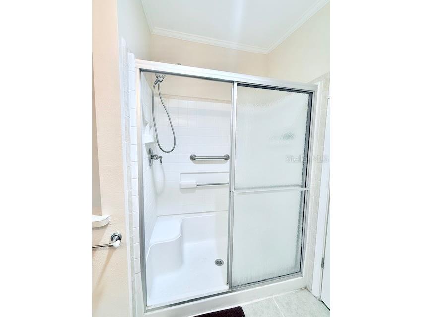 814 Forest Lake Drive Lakeland FL 33809 - LAKE GIBSON L4952328 image28